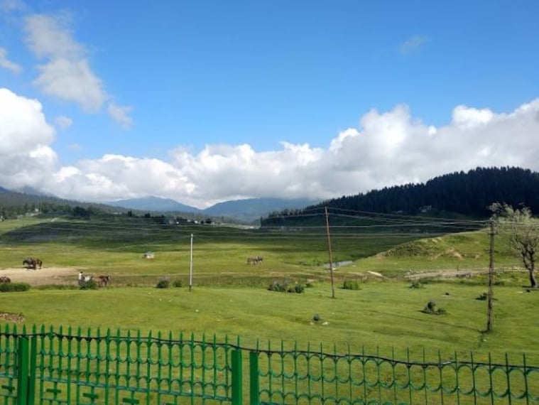 Gulmarg Golf Course_3